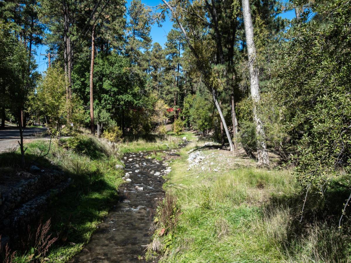 Apache Village 2, King Studio, Midtown, Sleeps 2 Ruidoso Extérieur photo